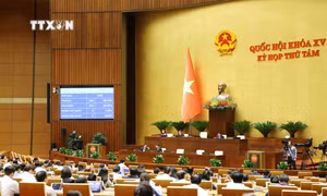 Quốc hội thông qua toàn văn Luật Di sản văn hóa (sửa đổi). Ảnh: Phương Hoa - TTXVN