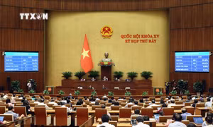 Quốc hội thông qua Nghị quyết về Chương trình xây dựng luật, Pháp lệnh năm 2025, điều chỉnh chương trình xây dựng luật, pháp lệnh năm 2024. Ảnh: An Đăng - TTXVN 