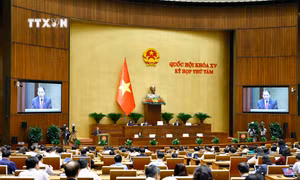 Quang cảnh phiên họp. Ảnh: Doãn Tấn - TTXVN