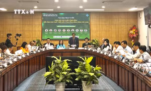 Quang cảnh Tọa đàm. Ảnh: Ánh Tuyết - TTXVN