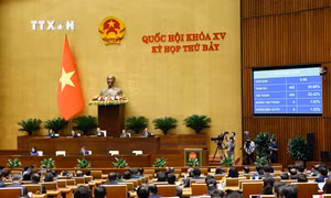 Quốc hội thông qua Luật Bảo hiểm xã hội (sửa đổi). Ảnh: Doãn Tấn - TTXVN
