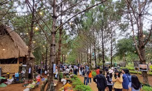 Không gian văn hóa “Thiên Đường Tây Nguyên - Măng Đen” thu hút du khách đến với Măng Đen. Ảnh: Dư Toán – TTXVN