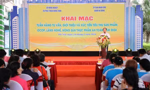 Quang cảnh buổi lễ khai mạc Tuần hàng tư vấn, giới thiệu và xúc tiến tiêu thụ sản phẩm OCOP, làng nghề, nông sản thực phẩm an toàn năm 2024.