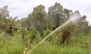 Vận hành máy bơm, thao tác phun xịt nước phòng chữa cháy rừng ở Vườn quốc gia U Minh Thượng (Kiên Giang). Ảnh: Lê Huy Hải - TTXVN