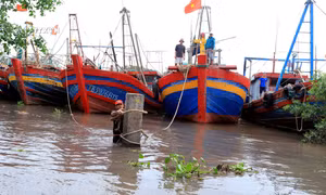 Từ chiều 14/7, Thừa Thiên – Huế cấm tuyệt đối tàu thuyền ra khơi, chủ động ứng phó áp thấp nhiệt đới