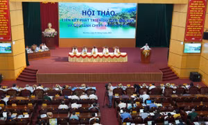 Quang cảnh Hội thảo. Ảnh: baobackan.vn
