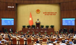 Quốc hội thông qua Nghị quyết về Chương trình xây dựng luật, Pháp lệnh năm 2025, điều chỉnh chương trình xây dựng luật, pháp lệnh năm 2024. Ảnh: An Đăng - TTXVN 