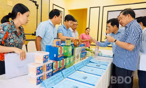 Phân hạng đánh giá sản phẩm OCOP tỉnh Bình Định năm 2022. Ảnh: Thu Dịu/baobinhdinh.vn