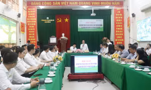 Quang cảnh hội thảo. Ảnh: Thu Hiền - TTXVN