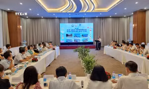 Quang cảnh Hội thảo. Ảnh: Nguyễn Thành - TTXVN