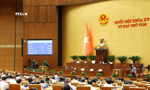 Quốc hội thông qua toàn văn Luật Di sản văn hóa (sửa đổi). Ảnh: Phương Hoa - TTXVN