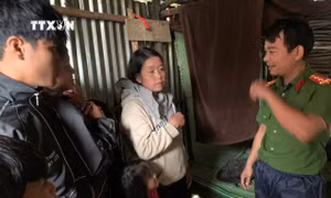 Các lực lượng chức năng huyện Phước Sơn (Quảng Nam) vận động và di chuyển 90 hộ ở các xã vùng cao Phước Thành, Phước Lộc đến nơi ở an toàn. Ảnh: Đoàn Hữu Trung - TTXVN