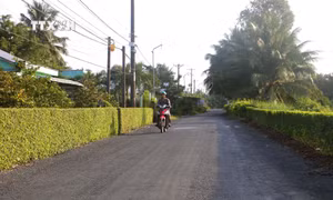 Vùng quê dân tộc Khmer Sóc Trăng ngày càng khởi sắc từ chương trình giảm nghèo. Ảnh: Tuấn Phi - TTXVN