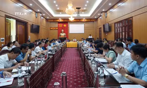 Toàn cảnh hội nghị. Ảnh TTXVN phát