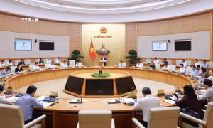 Phiên họp Chính phủ thường kỳ tháng 10 năm 2024. Ảnh: Dương Giang - TTXVN