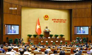 Quang cảnh phiên họp. Ảnh: Doãn Tấn - TTXVN