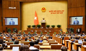 Quang cảnh phiên họp. Ảnh: Doãn Tấn - TTXVN