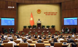 Quốc hội biểu quyết thông qua Luật sửa đổi, bổ sung một số điều của Luật Cảnh vệ. Ảnh: An Đăng - TTXVN