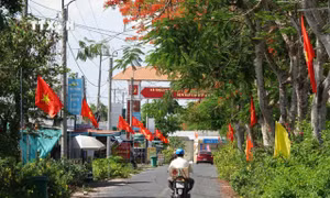 “Đường cờ Tổ quốc” tại xã Trường Xuân A, huyện Thới Lai (Cần Thơ) vừa mới khánh thành. Ảnh: TTXVN phát