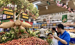 Sản phẩm mận hậu Sơn La được giới thiệu tại hội chợ. Ảnh: Mỹ Phương - TTXVN