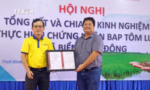 Đại diện tổ chức BUREAU VERITAS tại Việt Nam (phải) trao giấy chứng nhận BAP cho đơn vị đồng hành thực hiện dự án tại xã Biển Bạch Đông, huyện Thới Bình. Ảnh: Huỳnh Anh - TTXVN 
