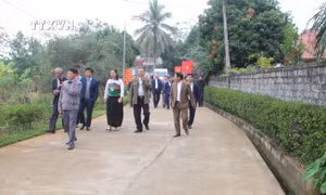 Các đại biểu tham quan, tìm hiểu kinh nghiệm xây dựng thôn nông thôn mới, nông thôn mới kiểu mẫu tại xã Ngọc Sơn, huyện Ngọc Lặc, tỉnh Thanh Hóa. Ảnh: Hoa Mai - TTXVN