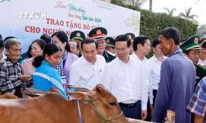 Chủ tịch nước Võ Văn Thưởng tặng bò cho hộ nghèo của chương trình "Xuân biên phòng ấm lòng dân bản". Ảnh: Thống Nhất - TTXVN 