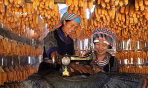 Độc đáo ngôi Nhà ngô ở Màng Mủ 