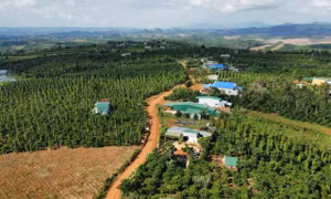 Để Đắk Glong thoát khỏi tình trạng huyện nghèo
