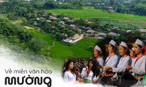 Về miền văn hóa Mường 