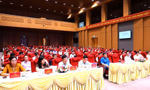 Tập huấn nghiệp vụ, kỹ năng phòng, chống tham nhũng, tiêu cực