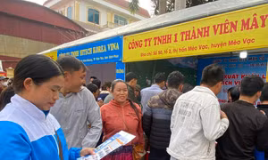 Giải quyết việc làm cho đồng bào vùng cao - Những cách làm đổi mới, hiệu quả