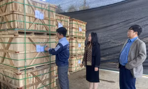 Nỗ lực xóa đói giảm nghèo qua các chính sách thiết thực