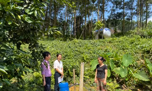 Mang nước sạch đến với người dân vùng đồng bào dân tộc thiểu số huyện Võ Nhai