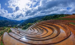 Ruộng bậc thang vùng cao Mù Cang Chải vào mùa nước đổ 