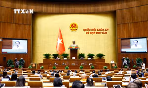 Kỳ họp thứ 8, Quốc hội khoá XV: Đánh giá kỹ, bảo đảm khả năng nguồn lực đầu tư phát triển văn hóa
