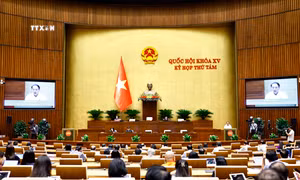 Kỳ họp thứ 8, Quốc hội khoá XV: Đánh giá kỹ, bảo đảm khả năng nguồn lực đầu tư phát triển văn hóa
