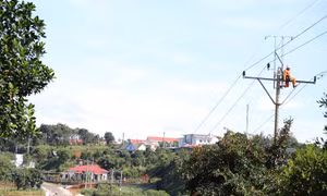 Công ty Điện lực Đắk Nông đảm bảo cung ứng điện an toàn, ổn định trong các ngày lễ, Tết