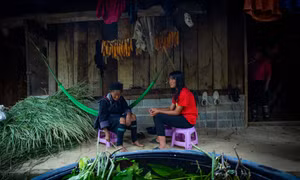 Sắc chàm của người Mông ở Sa Pa 