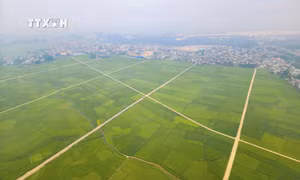 Ngắm thung lũng Mường Thanh từ trực thăng của Không quân Việt Nam 