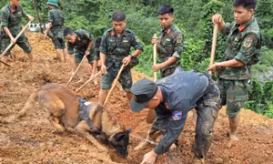 Thủ tướng Chính phủ yêu cầu tập trung khắc phục sự cố sạt lở đất tại Hà Giang