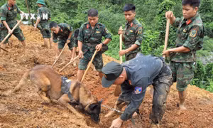 Thủ tướng Chính phủ yêu cầu tập trung khắc phục sự cố sạt lở đất tại Hà Giang