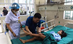 Vụ sạt lở đất nghiêm trọng tại Hà Giang: Xác định được danh tính 10 người tử vong và 4 người bị thương