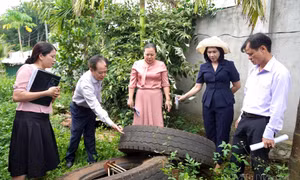 Đắk Nông nỗ lực phòng chống, kiểm soát bệnh sốt xuất huyết, bảo vệ sức khỏe nhân dân
