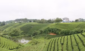 Thái Nguyên phát triển du lịch cộng đồng vùng đồng bào dân tộc thiểu số