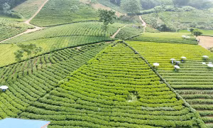 Thái Nguyên hỗ trợ đồng bào các DTTS phát huy nội lực, khơi dậy tinh thần vượt khó vươn lên
