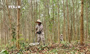 Rà phá, bom mìn trên vùng đất “dữ” 