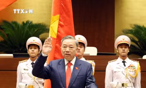Tiểu sử Chủ tịch nước Cộng hòa Xã hội Chủ nghĩa Việt Nam Tô Lâm 