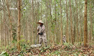 Rà phá, bom mìn trên vùng đất “dữ” 