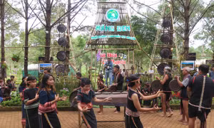 Chuyển đổi cơ cấu kinh tế - Chìa khóa tăng trưởng cho tỉnh Kon Tum